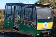 Half Day Penguins and Cape Point Small Group Tour