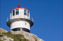 Half Day Penguins and Cape Point Small Group Tour