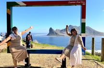 Half Day Penguins and Cape Point Small Group Tour