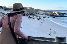 Half Day Penguins and Cape Point Small Group Tour