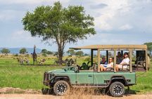 Mikumi Luxury Day Safari with Photographer