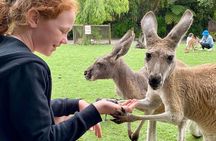 Bespoke Perth City and Surrounds Day Tour