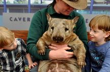 Bespoke Perth City and Surrounds Day Tour