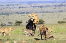 3 Days Masai Mara Safaris 