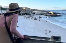 Half Day Private Penguins & Cape Point Tour