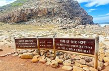 Half Day Private Penguins & Cape Point Tour