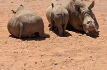 Sunset Aquila Private Game Reserve Big 5 Safari with Snacks