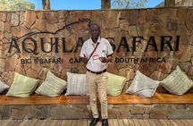 Full-Day Big 5 Safari at Aquila Game Reserve with Lunch