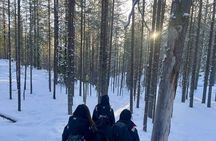Korouoma Canyon Frozen Waterfalls