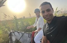 Private Horse ride Adventure in Luxor with professional guide