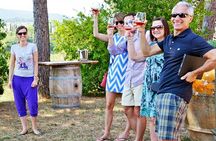Tuscan Lunch & Winery Tour with Tasting in San Gimignano