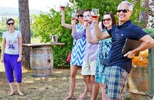 Tuscan Wine & Bruschetta Tasting for Families in San Gimignano