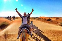 Timlalin Dunes Desert Sunset Tour From Agadir or Taghazout
