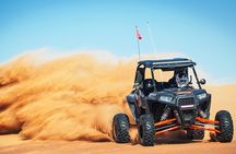 Evening Desert Safari