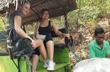 Explore Wonders of Sri Lanka 7 Days Private Tour
