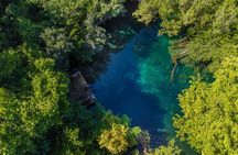 Swimming in the Cenotes Indigenous Eyes in Punta Cana