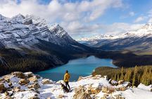 Along Icefields Parkway: Peyto Lake, Bow Lake & Columbia Icefield