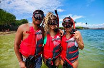 San Juan: VIP-Snorkeling with Turtles and Complimentary Videos