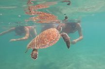 VIP San Juan: Snorkeling Tour with Turtles with Free Videos