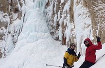 Private Snow Monkey & Frozen Waterfall — Nagano Winter Tour