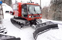 Private Snow Monkey & Frozen Waterfall — Nagano Winter Tour