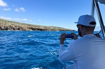 2 Hour Semi-Private Maui Dolphin Watch Sightsee Raft Tour 