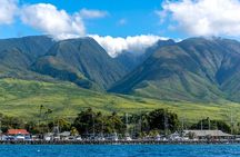 2 Hour Semi-Private Maui Dolphin Watch Sightsee Raft Tour 