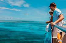Half Day Great Barrier Reef Snorkeling Trip