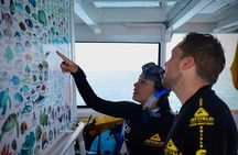 Half Day Great Barrier Reef Snorkeling Trip
