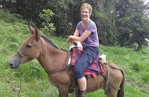 Senderismo en Minca- 4 Días contacto autentico con comunidades 