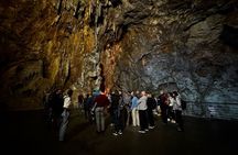 Alicante; Cuevas del Canelobre and Busot Local Guide with Transfer