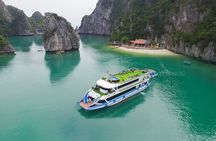 La Casta 5-Star Ha Long Bay Cruise with Local Food and Limousine