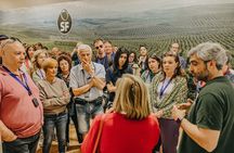 The Olive Oil Journey: Grove and Mill Visit