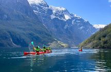 Vossevangen: Nærøyfjord Full-Day Guided Kayaking Trip