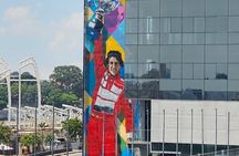 Private Ayrton Senna Urban Art Tour Experience in São Paulo