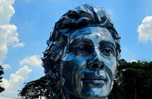 Private Ayrton Senna Urban Art Tour Experience in São Paulo