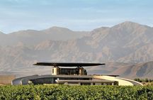 Shared Uco Valley Gourmet Wine Tour