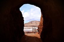 From Sal Island Blu eye Salt lake Lemon Sharks and Palmeira