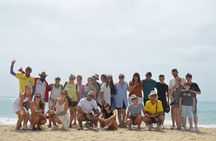 From Sal Island Blu eye Salt lake Lemon Sharks and Palmeira