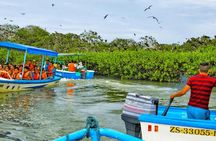 Mancora: Full day in Tumbes with Mangroves and Beaches