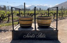 Tour Viña Santa Rita: History, Wine and Picnic Outdoors