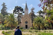 Tour Viña Santa Rita: History, Wine and Picnic Outdoors
