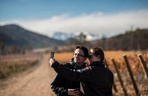 Tour Viña Santa Rita: History, Wine and Picnic Outdoors