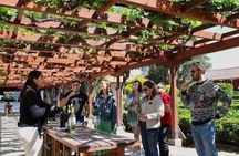 Santa Rita Vineyard Tour with Lunch An unforgettable experience!