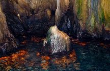PRIVATE "Classic" excursion with typical Cilento Gozzo