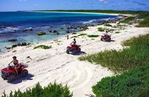 ATV Seashore + Cenote Combo: Mezcalitos & Mayan Cenote Experience