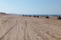 Essaouira: 2 Hours Quad Forest Beach