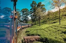 9 Days Guided Tour Through Sri Lanka