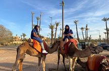 Camel Ride Through Palmeraie of Marrakech