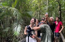 Explore Manuel Antonio Wildlife and Beaches National Park